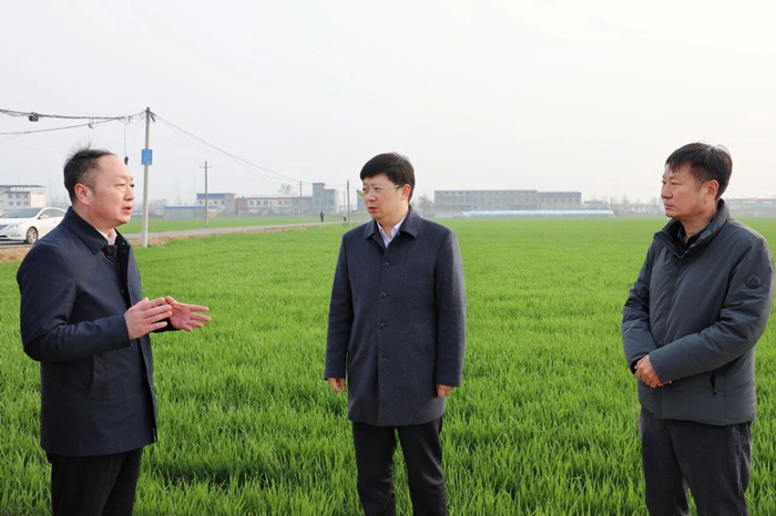 陈涛调研群众身边不正之风和腐败问题集中整治、春季麦田管理工作