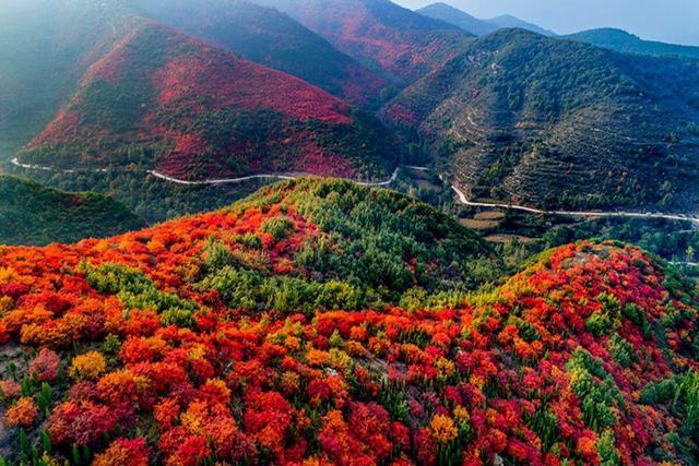 鸠山-红叶